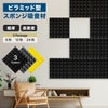 IPIC ピラミッド型スポンジ吸音材 ブラック 6枚 