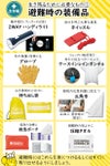 IPIC SONAE 防災リュック りすのほおぶくろ 1人用45点セット