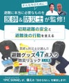 IPIC SONAE 防災リュック  初期避難オールインワン 1人用47点セット
