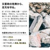 防災用 セーフティースニーカー 踏み抜き防止板入り